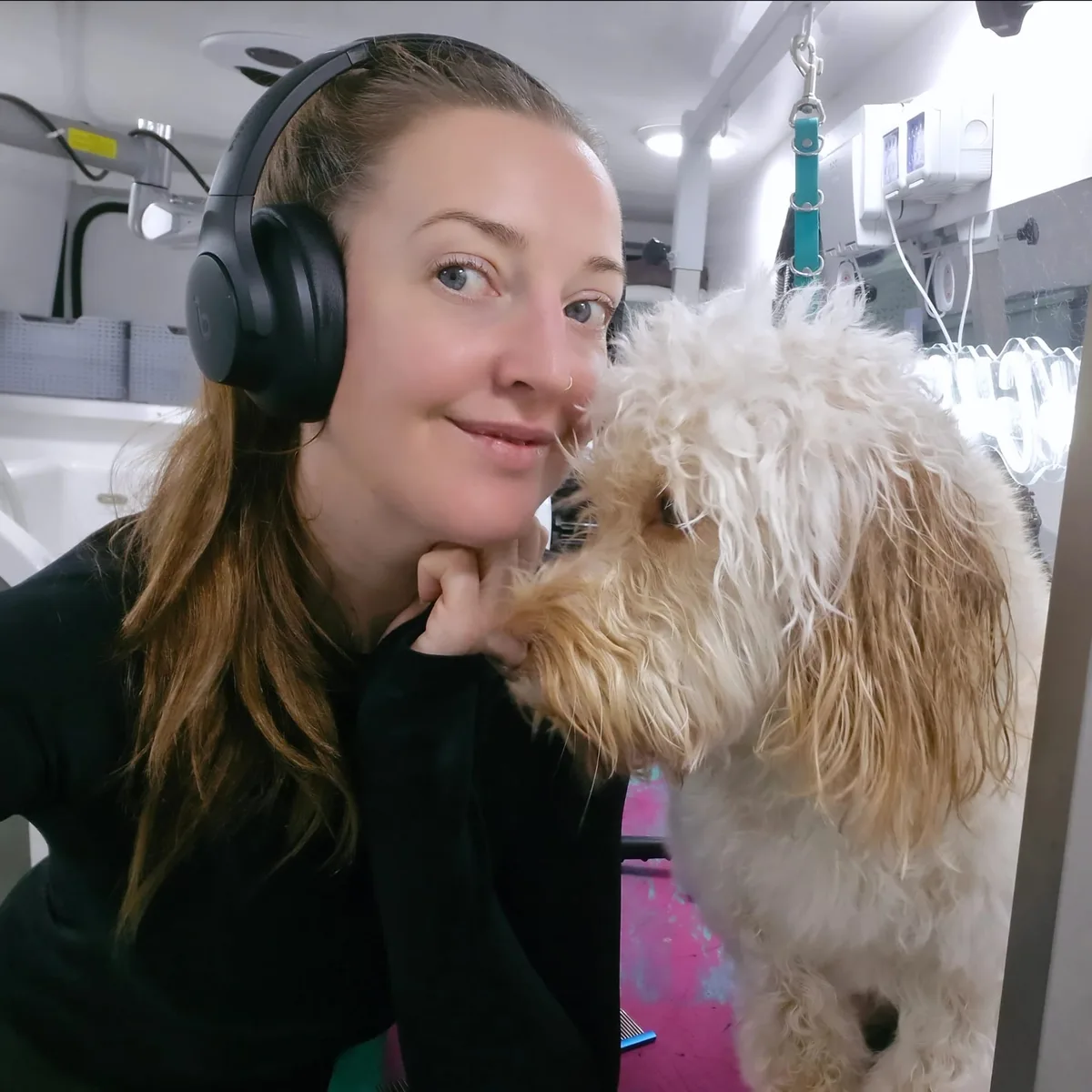Carly grooming a dog inside the van